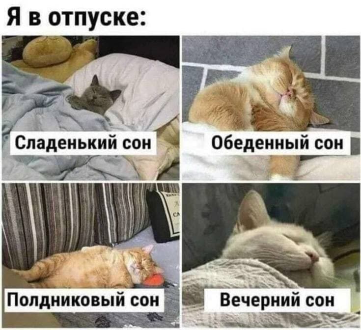 Иллюстрация новости